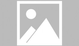 印度小叶紫檀最新爆料,最新爆料揭秘行业动向